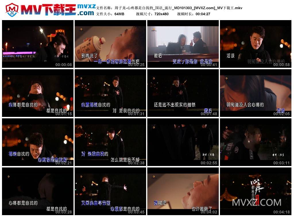 周子龙-心疼都是自找的_国语_流行_MD101303